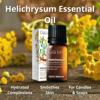 Organic Helichrysum Essential Oil – The Ultimate Skin Revitalizer
